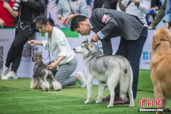 持有一支股票長(zhǎng)達(dá)十年,是怎樣的體驗(yàn)?