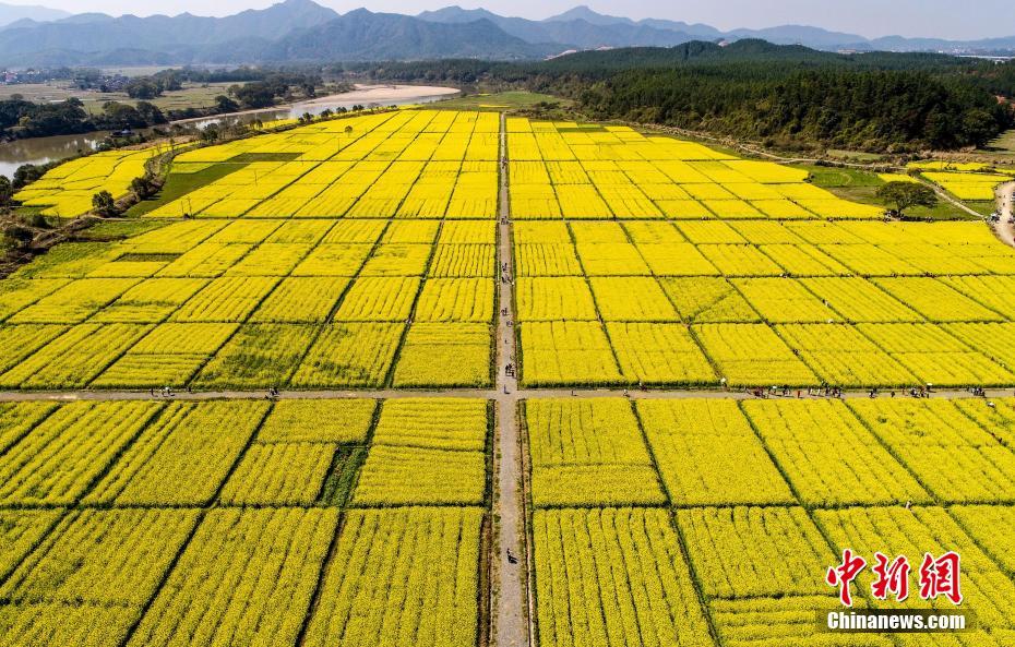 山西成為全國首個實現電力現貨市場不間斷運行的省份