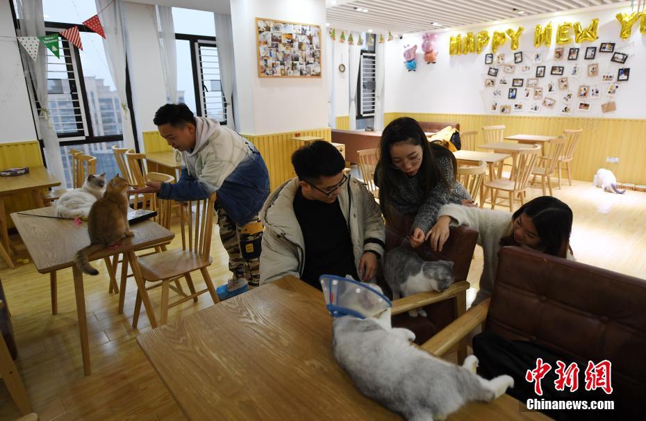 河南：推進煤炭穩產增儲 煤炭產能穩定在14億噸/年左右