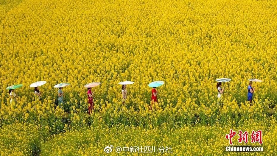 勇立潮頭,打造對外開放新高地——山東深入貫徹落實習近平總書記