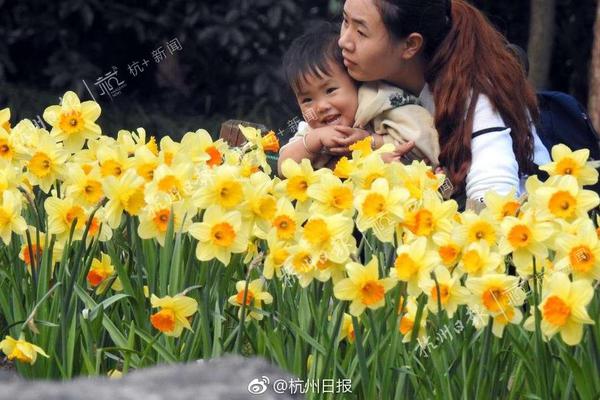 揭秘華為:人人持股被逼出來的方案(圖)