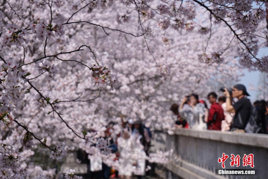 11月份第二周（11月6日－11月12日）天津煤炭價格持平
