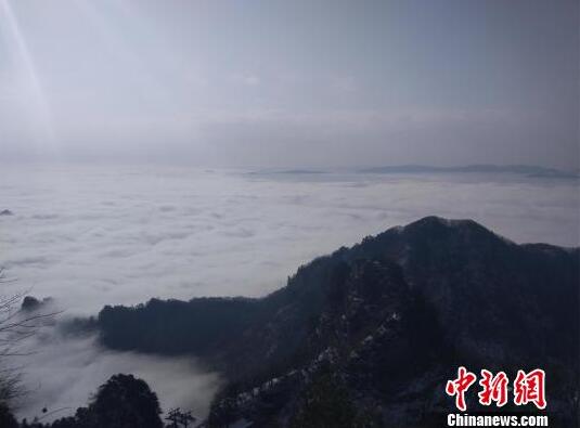 11月份第二周（11月6日－11月12日）天津煤炭價格持平