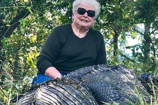江蘇電網“十三五”最后一個500千伏輸變電工程投運