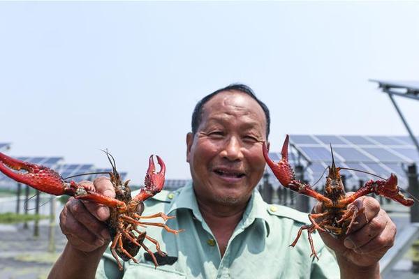 氫燃料每替代1噸標準油獎5000元 !上海發布新政支持氫能產業發展