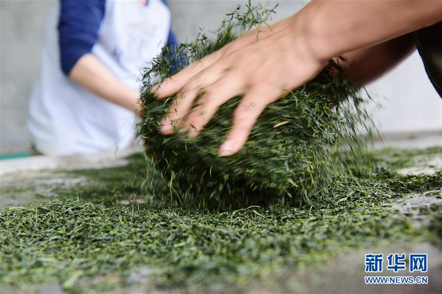 小米65.3億罰單背后：在印度當老大，真可能被罰吐血……