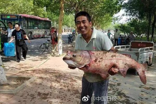 一個程序員的水平能差到什么程度?