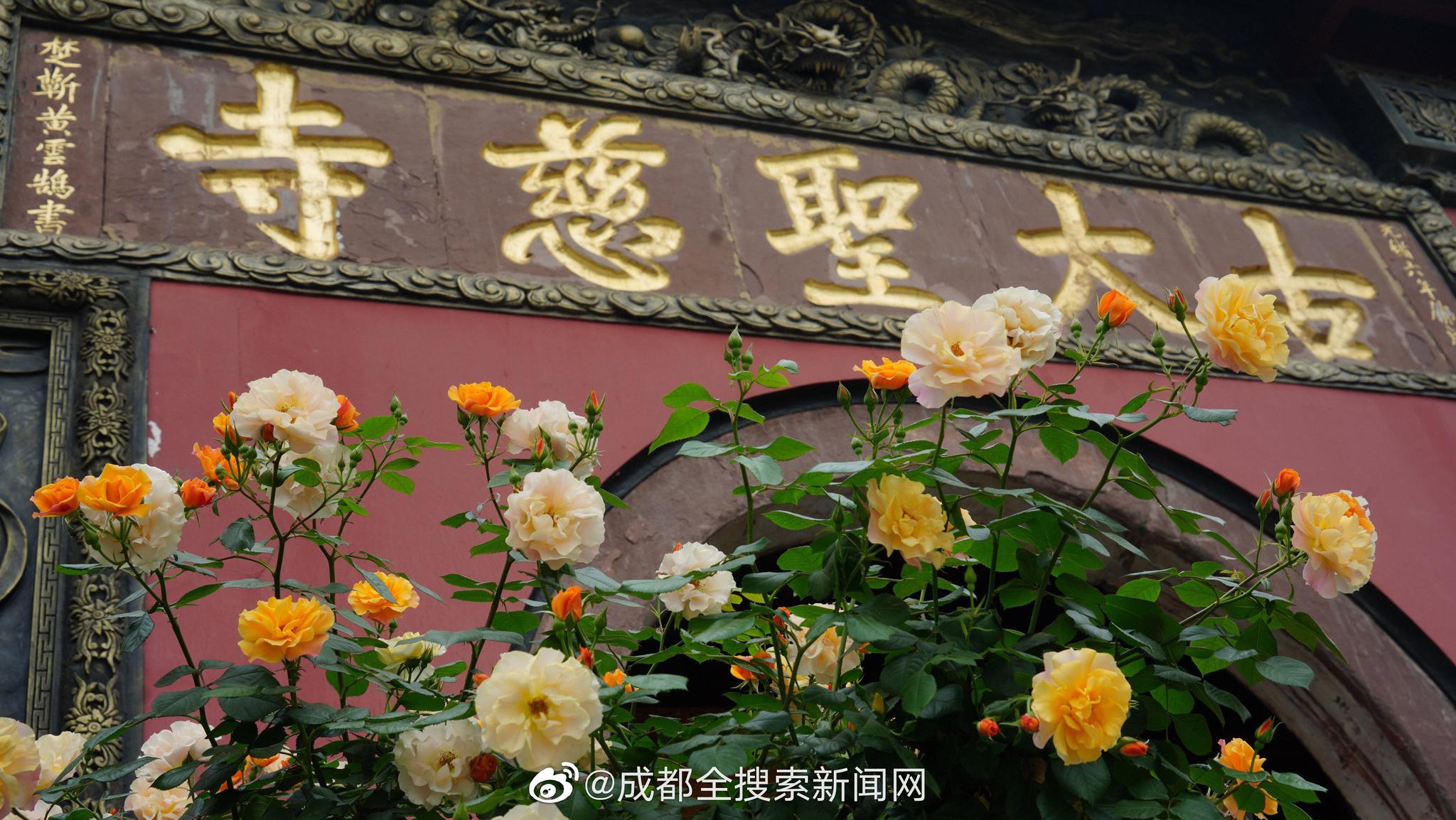 截至7月底，山東發(fā)放穩(wěn)崗返還資金15.24億元穩(wěn)定崗位307萬個