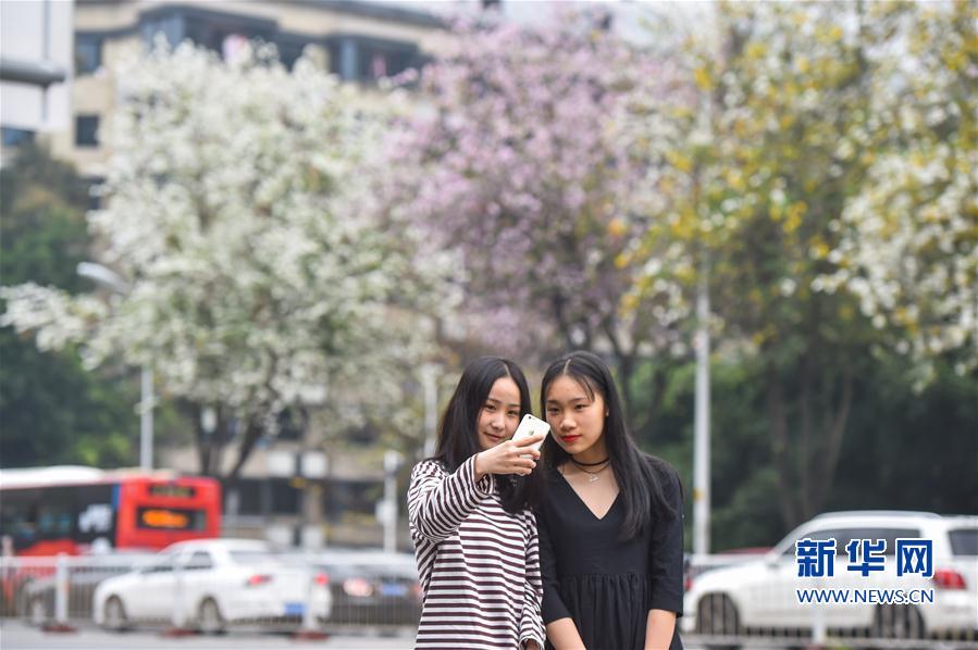同煤集團塔山發(fā)電公司信息化系統(tǒng)推動企業(yè)健康發(fā)展