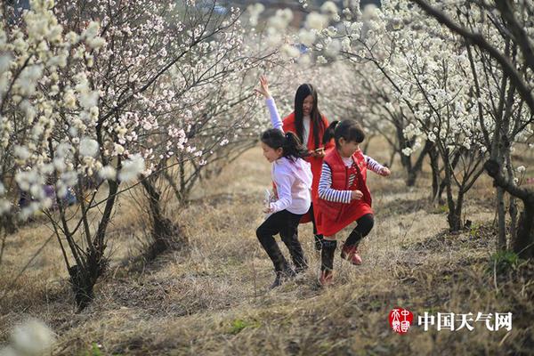 寧夏2022年度重點(diǎn)項(xiàng)目名單公布