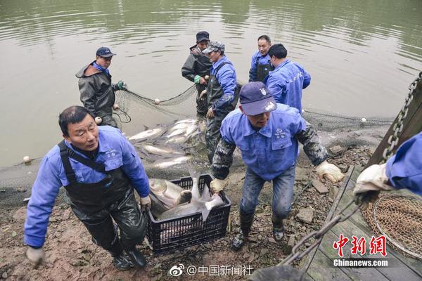 這個厲害了，盤子放上去直接出價格
