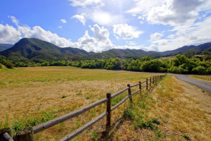 總投資136億！山西今年重點推動9個氫能項目建設