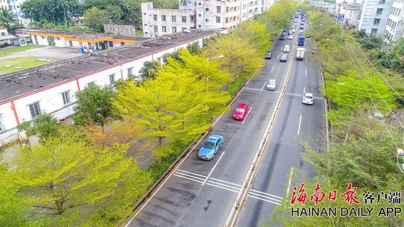 如馬可波羅和玄奘，滋養了一代又一代瑰麗的幻想故事