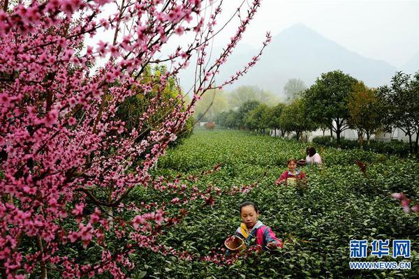 擘畫新藍圖 啟航新征程③丨爭當先進制造業&ldquo;尖子生&rdquo;，山東未來