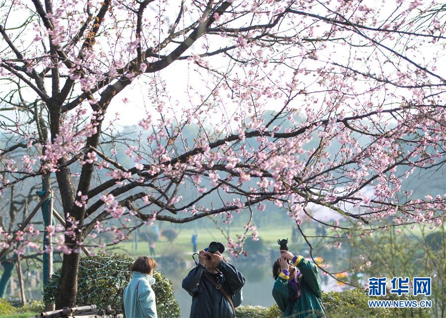 擘畫新藍圖 啟航新征程③丨爭當先進制造業&ldquo;尖子生&rdquo;，山東未來