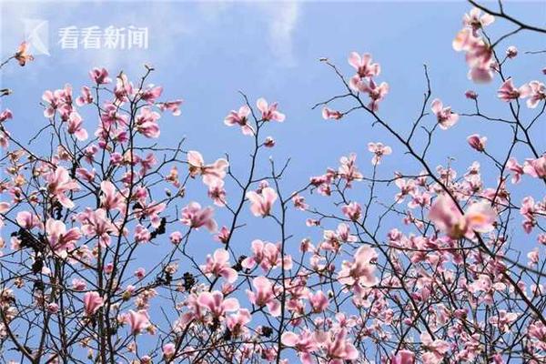 剩男剩女的問題，數據告訴你真實情況是怎樣
