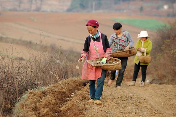 我在美國生娃｜費(fèi)用及全紀(jì)錄