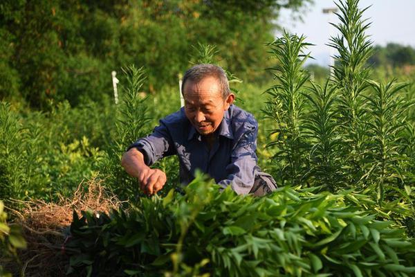 國網山西2020年第二次國有企業職工家屬區供電設施接收改造工程物資招標