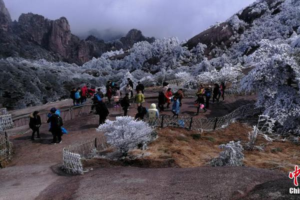 關(guān)于生育！被我媽媽的話感動了