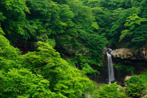 萊姆電子亮相2011年PCIM亞洲電力電子展