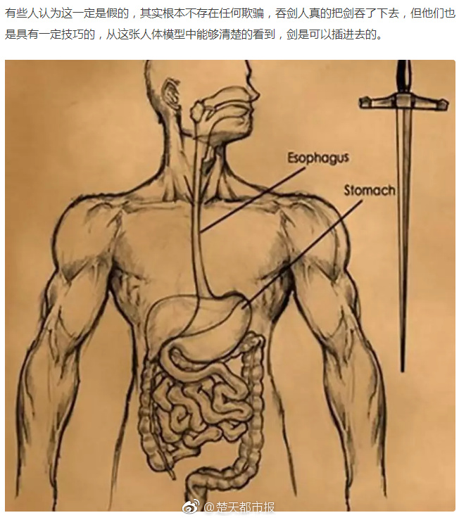 濟(jì)南深入推進(jìn)&ldquo;四減四增&rdquo;行動(dòng)，助力黃河流域生態(tài)保護(hù)和高質(zhì)量發(fā)
