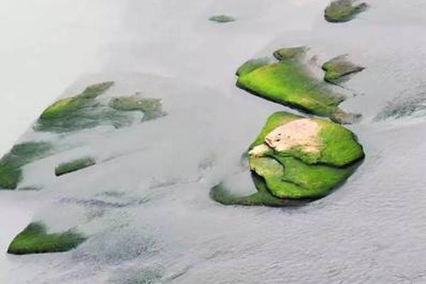 具體是什么情況? 速看! 我市新增3處" 聯(lián)動式同步掉頭 "通道