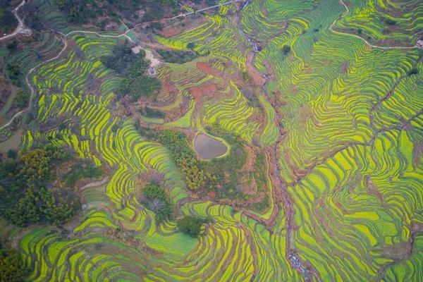 四川首套加氫站高壓儲氫容器研制成功