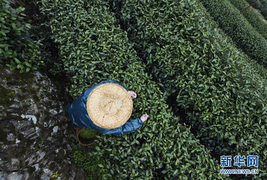 寶光股份：2022年度凈利潤約5753萬元 同比增加13.29%
