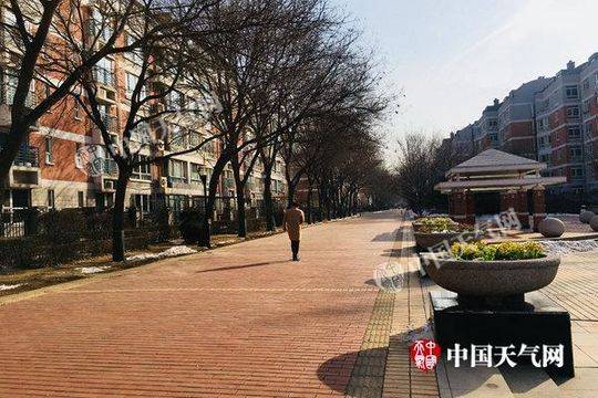 層林盡染醉金秋 詩情畫意紅葉谷 第42屆趵突泉金秋菊展搶先看