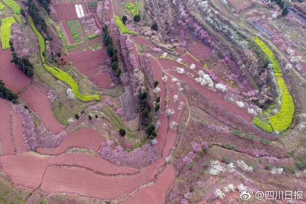 2023年6月貴州市場化交易加權均價