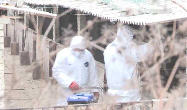 思考 | 可再生能源發電如何過渡成為主體電源？