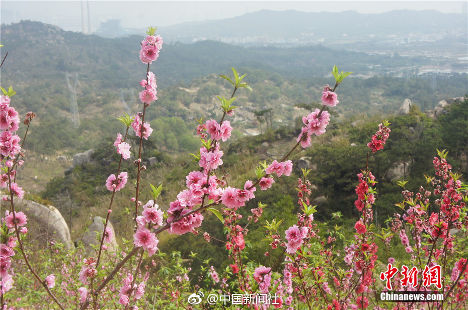 國網(wǎng)蒙東電力全面應(yīng)用低壓配電網(wǎng)故障主動服務(wù)模式